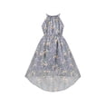 thumbnail image 1 of Girls Dress Gray Flower Hi-lo Style Halter Sleeveless Summer Sundress 6 Years, 1 of 7