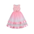 thumbnail image 1 of Girls Dress Pink Gradient Color Party Pageant Flower Lace Top Sleeveless 12 Years, 1 of 7