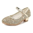 thumbnail image 1 of Girls Dress Shoes Wedding Party Heel Mary Jane Princess Flower Shoes (Toddler/Little Kid/Big Kid), 1 of 1