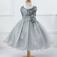 thumbnail image 1 of Girls Dresses Spring Summer Print Sleeveless Princess Party Clothing Girls Clothes, 1 of 3