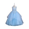 thumbnail image 1 of Flower Girl Dress Elegant Lace Applique Tulle Ball Gown Sleeveless Formal Princess Party Gown for Wedding Birthday Pageant Performance, 1 of 5