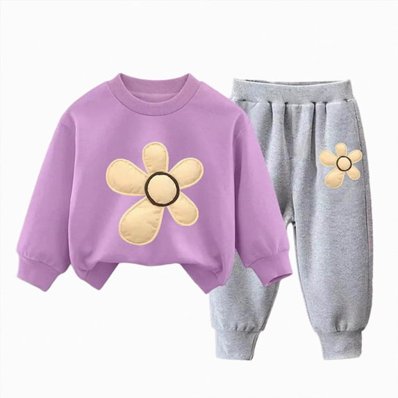 Girls Fall Winter Cute Flower Print Long Sleeved Sweatshirt + Pants Daily Two Piece Set 6-24 Months 2T 3T 4T 5T 6T Children Purple,1-2 Years