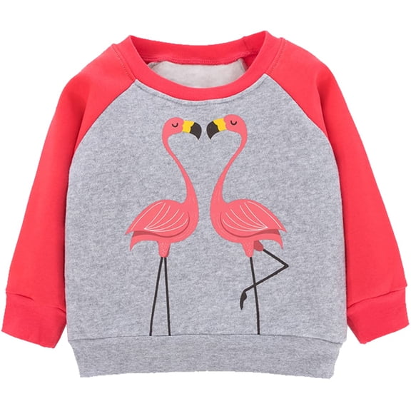 Girls Flamingo Sweatshirts Casual Pullover Crewneck Winter Long Sleeve Tops Shirts Clothes Size 8