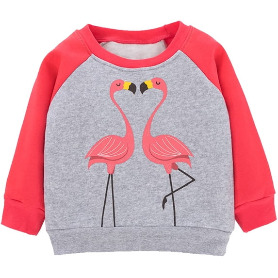 Girls Flamingo Sweatshirts Casual Pullover Crewneck Winter Long Sleeve Tops Shirts Clothes Size 8