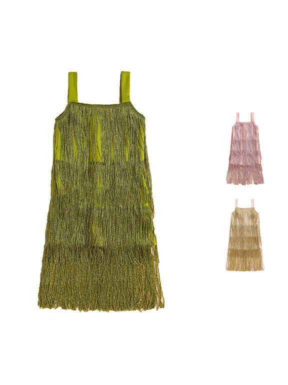 Girls Flapper Dress Sequins Fringe Latin Dance Dress Tassel Tango Dress Leotard Dress