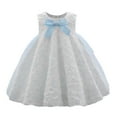 thumbnail image 1 of Girls Formal Dress A Line Flower Girl Dress Bowknot Mesh Sleeveless Birthday Party Pageant Ball Gown Dresses For Baby Girl Blue Size 12-18 Months, 1 of 5