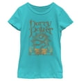 thumbnail image 1 of Girls Harry Potter Snake Symbol T Shirt, 1 of 4