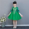 thumbnail image 1 of Girls High Low Tulle Dress Princess Birthday Pageant Wedding Christmas Party Communion Evening Dance Ball Gown Green 14-15 Years, 1 of 3
