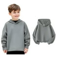 thumbnail image 1 of Girls Hoodies Grey Hooded Casual Long Sleeve Classic Hoodie Fall Winter Clothes 4-5 Years Old Girl Clothes, 1 of 3