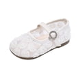 thumbnail image 1 of Girls' Lace Flower Shoes, Kids' Floral Mesh Breathable Flats, Soft Sole Princess Footwear for Dressy Occasions, 1 of 4