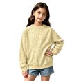 thumbnail image 1 of Girls Leopard Print Crewneck Sweatshirt Long Sleeve Ribbed Cuffs Casual Loose Fit Fall Pullover Sweatshirt, 1 of 4