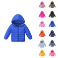 thumbnail image 1 of Girls Lightweight Down Jacket Soft Insulated Puffer Coat Warm Winter Outerwear for Kids, 1 of 4