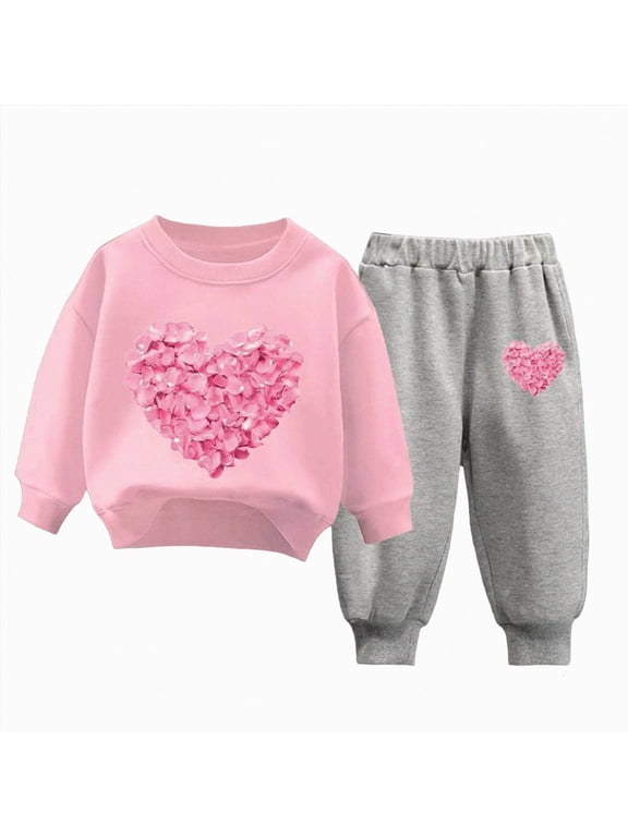 Girls Outfit Set Cute Flower Print Long Sleeved Sweatshirt Pants 2Pcs Set for 6-24 Months 2T 3T 4T 5T 6T Children Pink,3-4 Years