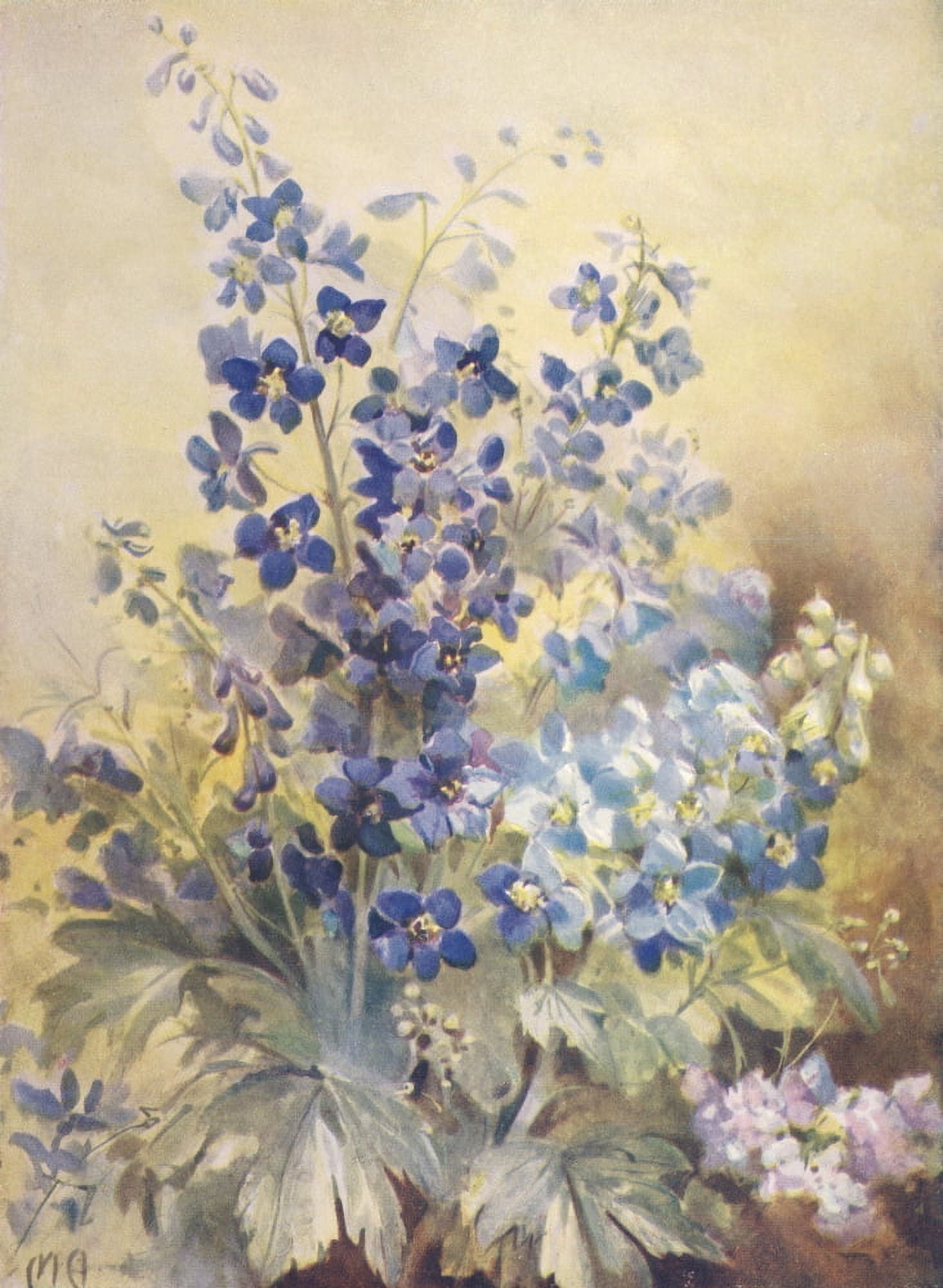 Girls Own Annual 1925 Delphiniums Canvas Art - Maude Angell (18 x 24)