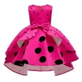 thumbnail image 1 of Girls Polka Dot Flower Dress Princess Wedding Birthday Halloween Ball Gown, 1 of 6