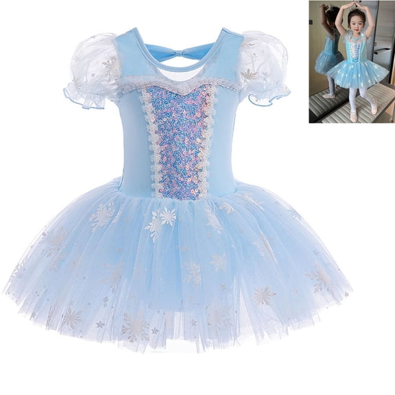 Girls Princess Ballet Dress Leotards Skirted Tutu Dancewear Christmas Party Fancy Costume