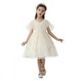 thumbnail image 1 of Girls Princess Sequin Tulle Birthday Party Dress Lace Girls Wedding Ball Gown Dress 2-10T, 1 of 7