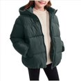 thumbnail image 1 of Girls Puffer Jackets Hooded Full Zip Warm Windproof Winter Coats Outerwear Size 2-3t, 1 of 5