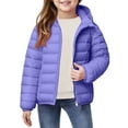 thumbnail image 1 of Girls Puffer Vest, Quilted Sleeveless Jacket with a Fuzzy Lining, Warm and Cute Layer for Fall and Winter Play, School Recess, and Outdoor Activities,Purple,170, 1 of 3