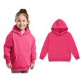 thumbnail image 1 of Girls Pullover Hoodie Sweatshirt For Toddlers And Kids With Soft Comfort Fit, 1 of 5