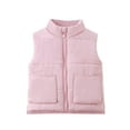 thumbnail image 1 of Girls Quilted Puffer Vests Toddler Zipper Cotton Padded Vest Stand Collar Winter Warm Trendy Sleeveless Jackets Pink, 0 Year, 1 of 7