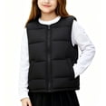 thumbnail image 1 of Girls Quilted Vest, Zip Up Round Neck Sleeveless Cotton Jacket, Light Warm Outerwear For Kids Black 3-4Years, 1 of 7