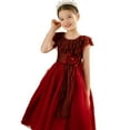 thumbnail image 1 of Girls Ruffles Tulle Flower Dress Ball Gown for Wedding Birthday Party, 1 of 6