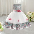 thumbnail image 1 of Girls' Sleeveless Embroidered Lace Mesh Dress with Floral Design for Performance and Special Occasions, 1 of 7