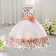 thumbnail image 1 of Girls' Sleeveless Embroidered Lace Mesh Dress with Floral Design for Performance and Special Occasions, 1 of 7
