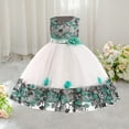 thumbnail image 1 of Girls' Sleeveless Embroidered Lace Mesh Dress with Floral Design for Performance and Special Occasions, 1 of 7