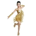 thumbnail image 1 of Girls Sparkly Dance Dress Sequined Fringe Latin Ballroom Performance Outfit with Sleeves for Party and Practice, 1 of 3