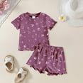 thumbnail image 1 of Girls Summer Floral Fruit Print Round Neck Short Sleeve Shorts Set, 1 of 8