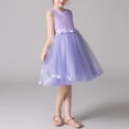 thumbnail image 1 of Girls' Summer Short Sleeve Dress with Ruffled Lace Embroidery and Bow Detail, 1 of 5