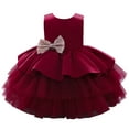 thumbnail image 1 of Girls' Tulle Flower Princess Wedding Dress for Toddler and Baby Girl, 1 of 7