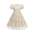 thumbnail image 1 of Girls Tulle Princess Dresses Trendy Embroidery Flower Lace Puff Sleeve Crew Neck Gown for Pageant Wedding Birthday Party Graduation Dance Prom Beige 10-11 Years, 1 of 6