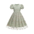 thumbnail image 1 of Girls Tulle Princess Dresses Trendy Embroidery Flower Lace Puff Sleeve Crew Neck Gown for Pageant Wedding Birthday Party Graduation Dance Prom Green 5-6 Years, 1 of 6