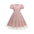 thumbnail image 1 of Girls Tulle Princess Dresses Trendy Embroidery Flower Lace Puff Sleeve Crew Neck Gown for Pageant Wedding Birthday Party Graduation Dance Prom Pink 5-6 Years, 1 of 6