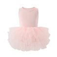 thumbnail image 1 of Girls Tutu-Dresses Ballet Costumes Layered-Tulle 2-6 Years Toddlers Kids Cute One-Piece Solid Color Sleeveless Crewneck Dance Mini Dress, 1 of 2