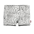 thumbnail image 1 of Girls UPF 50+ Printed Swim Boy Shorts | Leopard Monochrome, 1 of 4