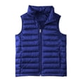 thumbnail image 1 of Girls and Toddlers' Lightweight Water-Resistant Packable Puffer Vest, 1 of 7