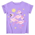 thumbnail image 1 of Lanbubble Girls Graphic T-Shirt Short Sleeve Tees with Flamingo Print Summer Casual Tops, Sizes 3-4, 1 of 8