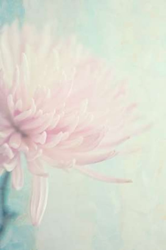 Girly Canvas Art - Roberta Murray (24 x 36)