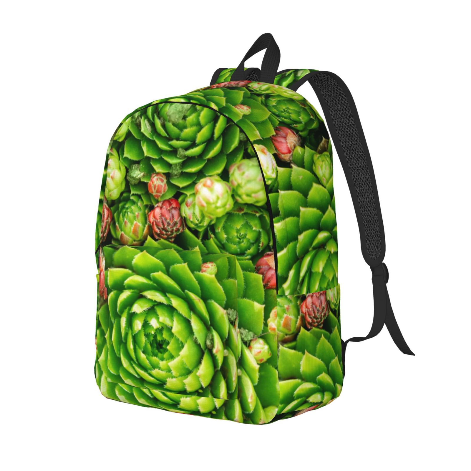 Giroia Cactus And Succulents for Class, Work, Travel, or Laptop Canvas
