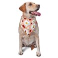 Giroia Daisy and Ladybug for Pet Safe Comfort Fit Dogs and Cats Scarf