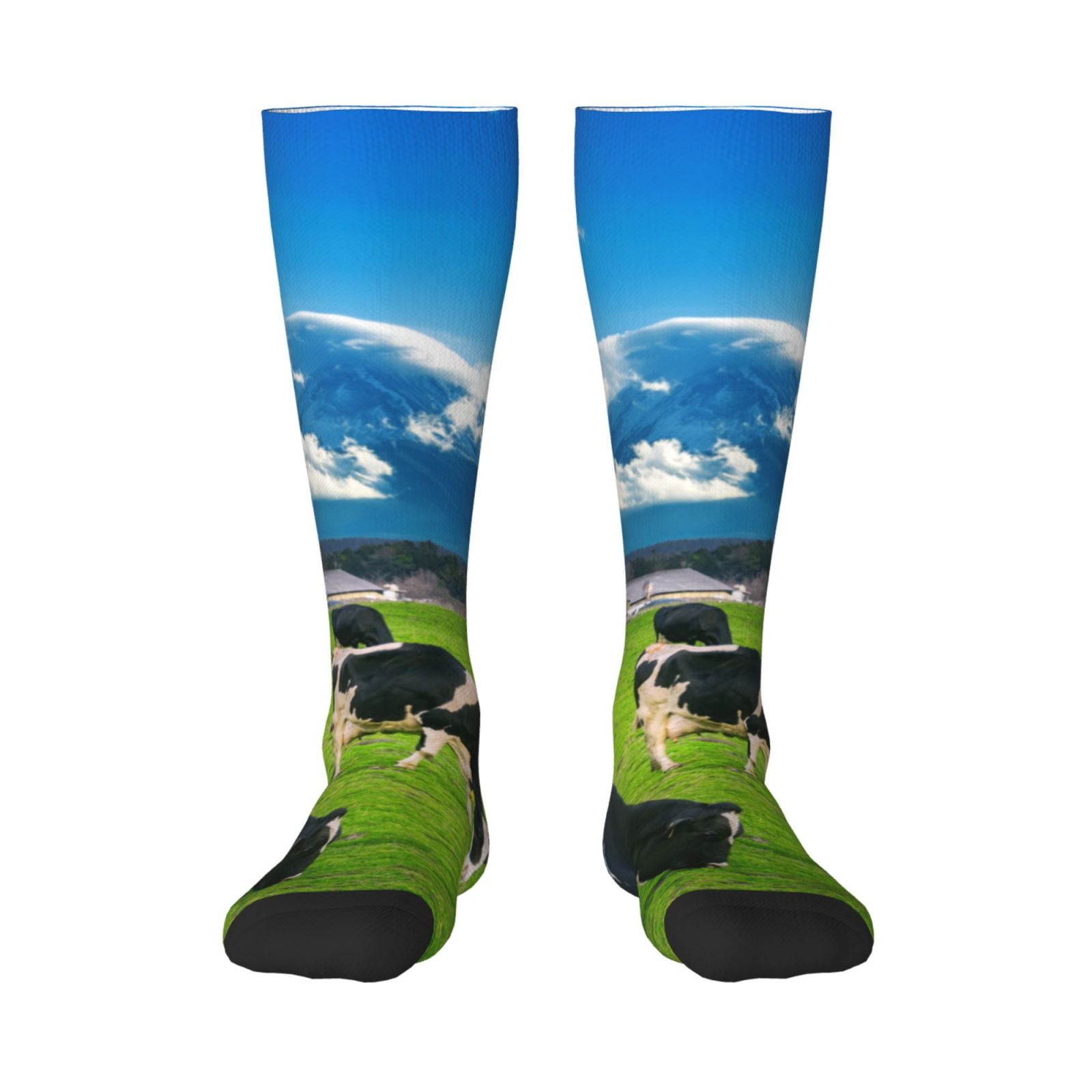 Giroia Grazing Cows Mountain View for Stocking Stuffers for Adults