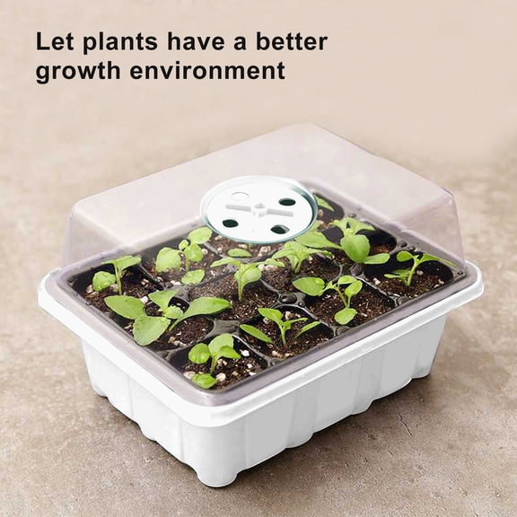 Giunmcul Mini Greenhouse Propagation Box with Lid 6 or 12 Cell Clear Propagation Tray for Indoor Seed Starting
