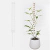 Giunmcul Moss Pole for Plants Monstera Support Climbing Tool Self Watering Vertical Growth Indoor Outdoor