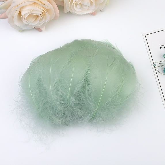 Giunmcul My Order 100pc Colorful Feathers 6-12 Cm In Small DIY Decoration