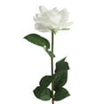 thumbnail image 1 of Giunmcul up to 65% Off Overglued Wet Feel Rose Simulation Flowers Manufacturers Home Decorations Wedding Curb Flowers Wall Fake Flowers, 1 of 1