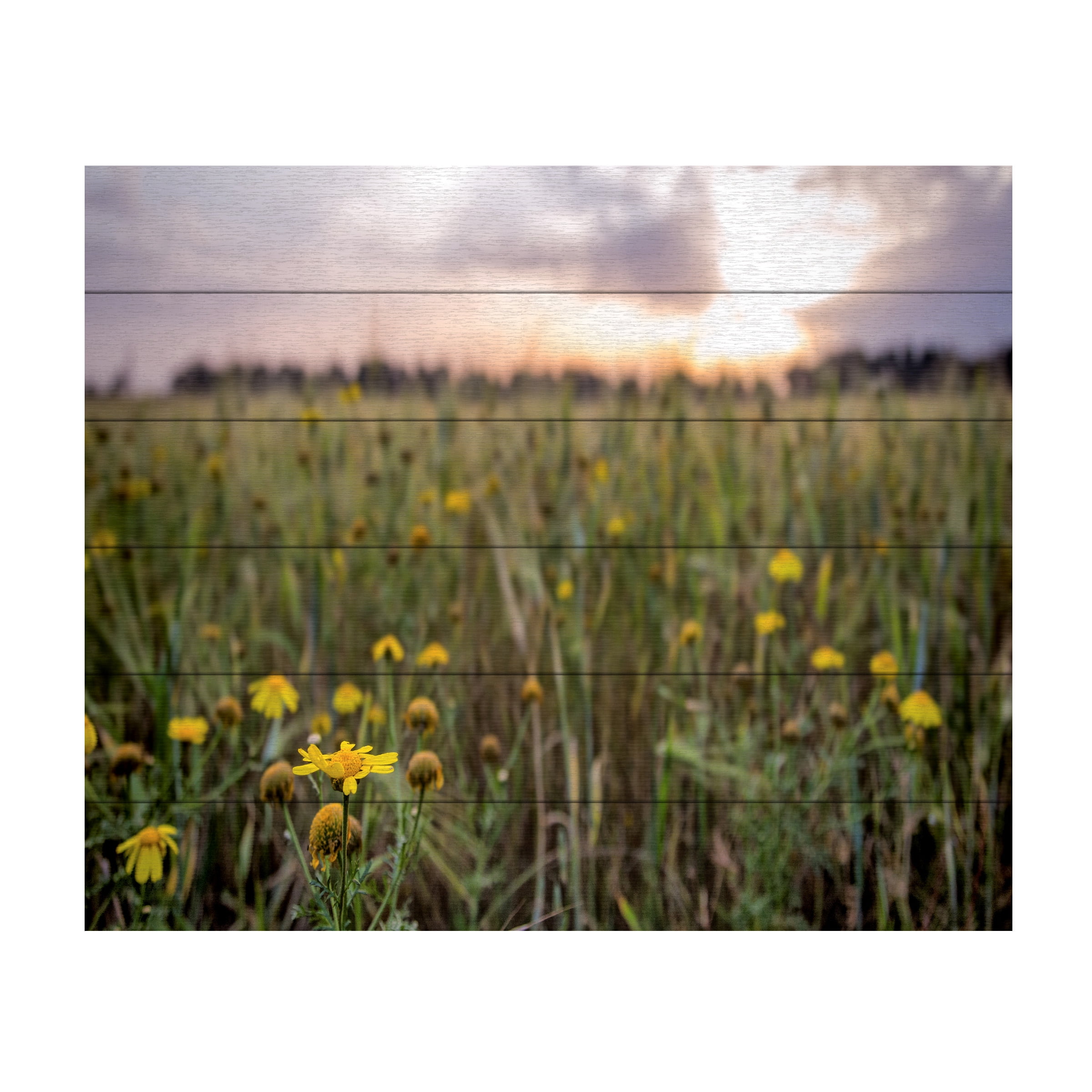 Giuseppe Torre 'Flowers In The Sunset' Wood Slat Art 18x22